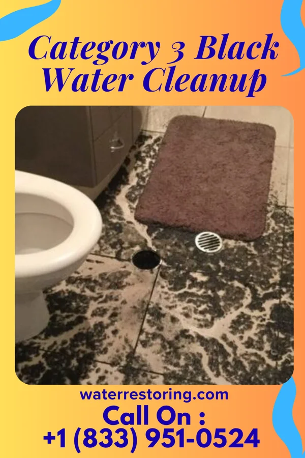 Category 3 Black Water Cleanup in Malmstrom AFB, MT