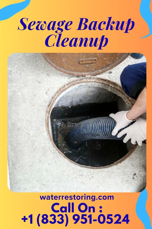 Sewage Backup Cleanup in Malmstrom AFB, MT